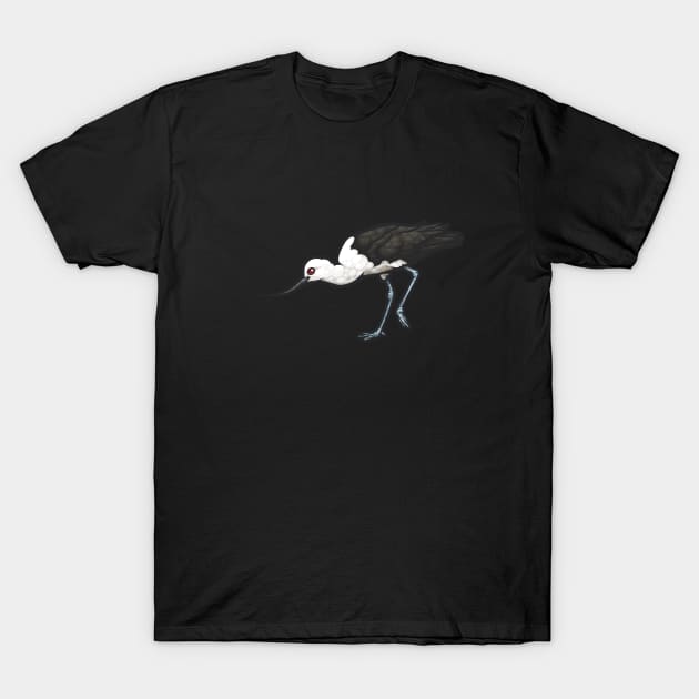 Andean Avocet T-Shirt by Ginboy